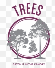 Clear Choices Clean Water - Poster Png,Tree Canopy Png