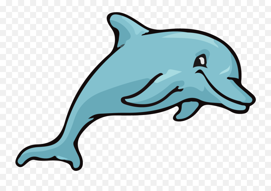 Contact Us Chandler Elementary School - Common Bottlenose Dolphin Png,Cute Contacts Icon