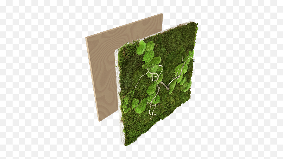 Greenwall 20 Paneel Met Bolmos En Takken - Kantoormeubelen Stitch Png,Moss Png