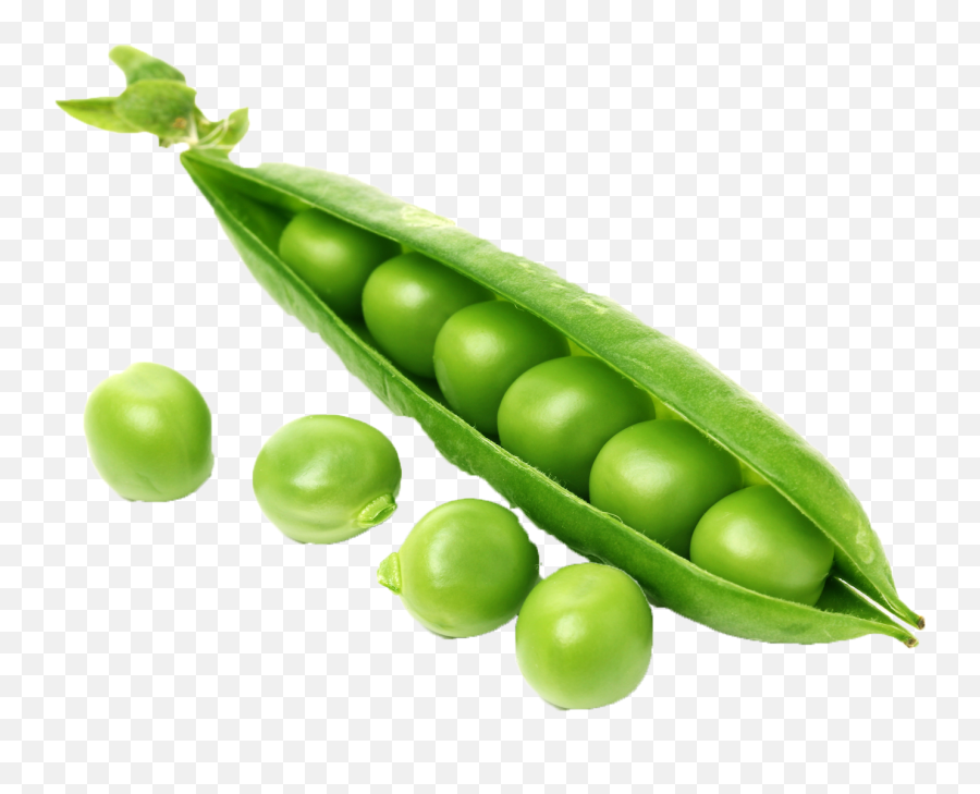 Power Pea U2013 Gnarly Pepper - Pea Png,Peas Png