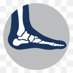 Item Detail - 2021 Annual Meeting Foot u0026 Ankle Access Pass Drawing png