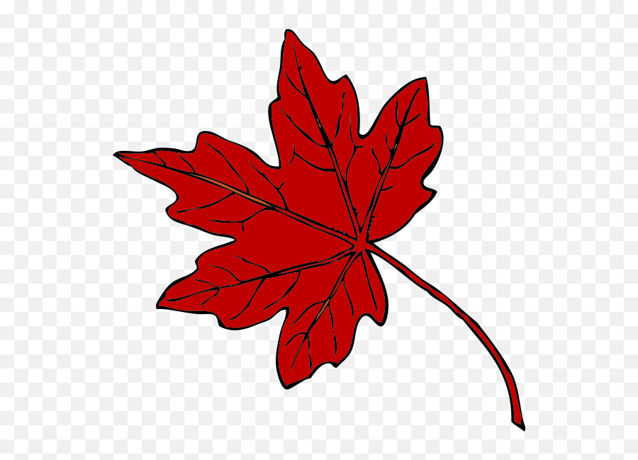 Red Maple Leaf Clipart - Png Download Full Size Clipart Fall Leaves Clip Art,Canada Leaf Png