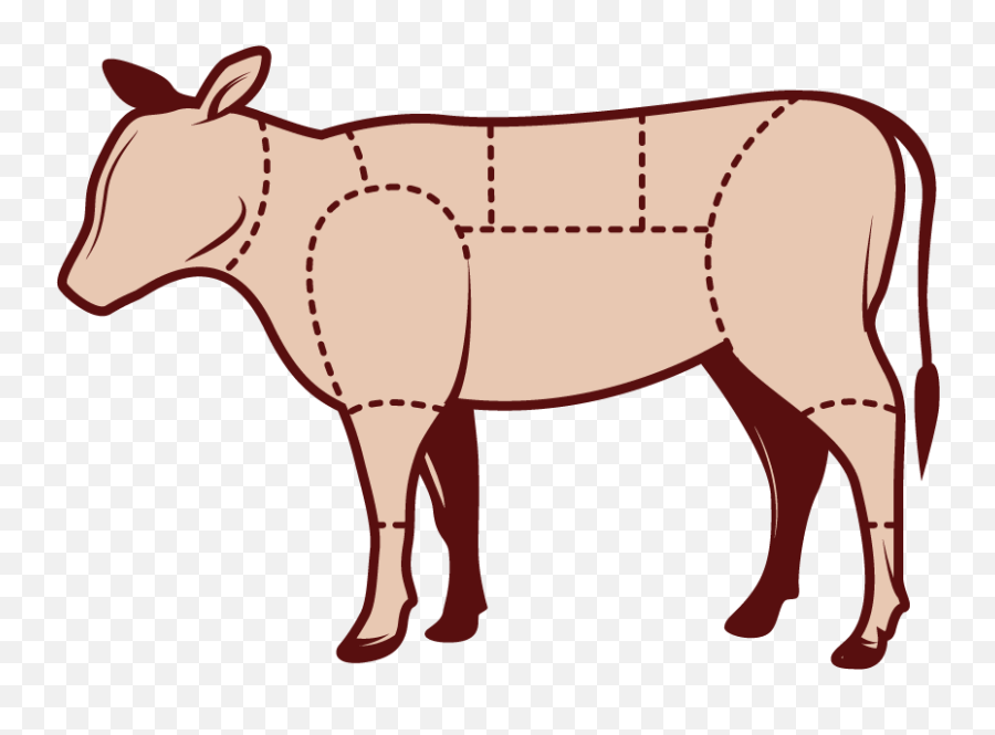 Beef Cuts Drawing Clipart - Full Size Clipart 4077033 Kosher Animal Png,Cuts Png