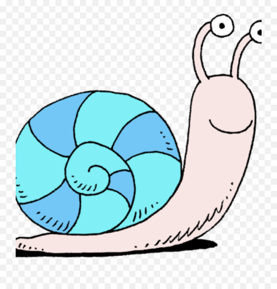 Clipart Snail - Png Download Full Size Clipart 936496 Snail Clip Art Free,Snail Png