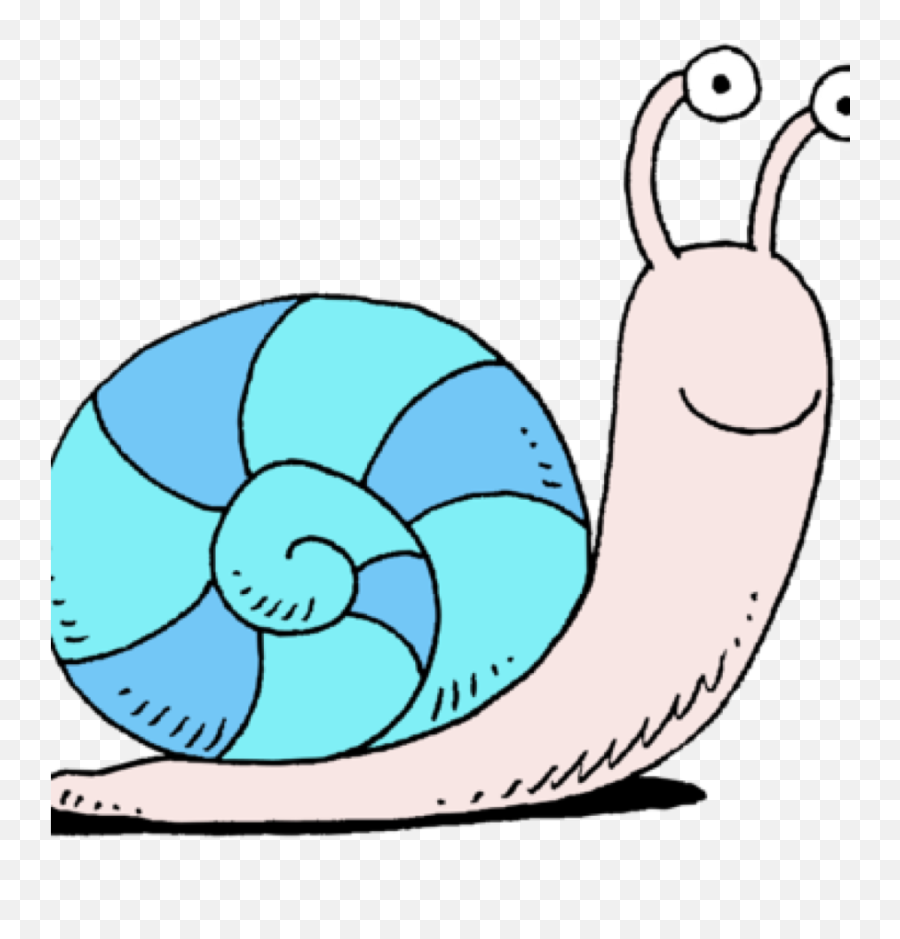 free snail clipart cartoon