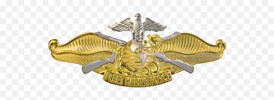 Fleet Marine Force Insignia Military Wiki Fandom - Fmf Officer Png,Eagle Globe And Anchor Png