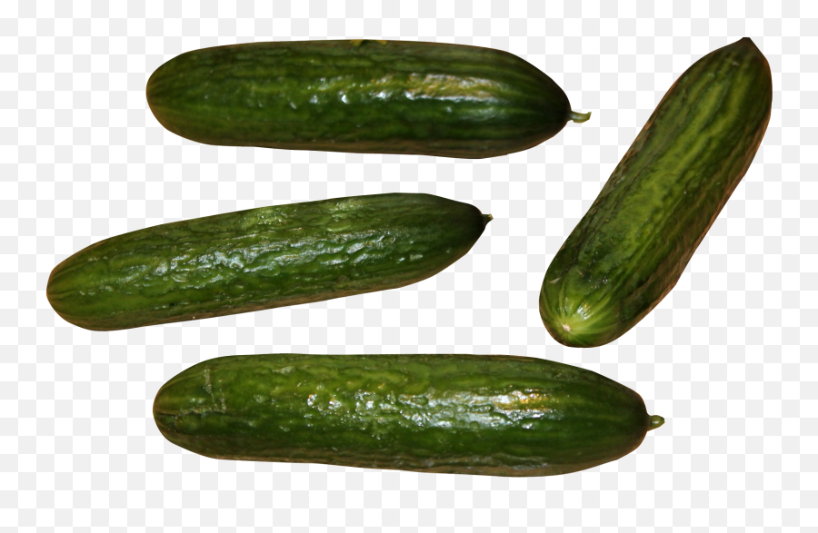 Cucumber Png Image - Cucumber,Cucumber Transparent