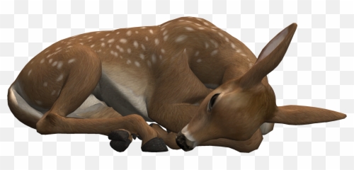 Deer Lying Down Transparent Background - Rhinoceros png