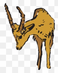 Antelope Looking - Pronghorn,Antelope Png