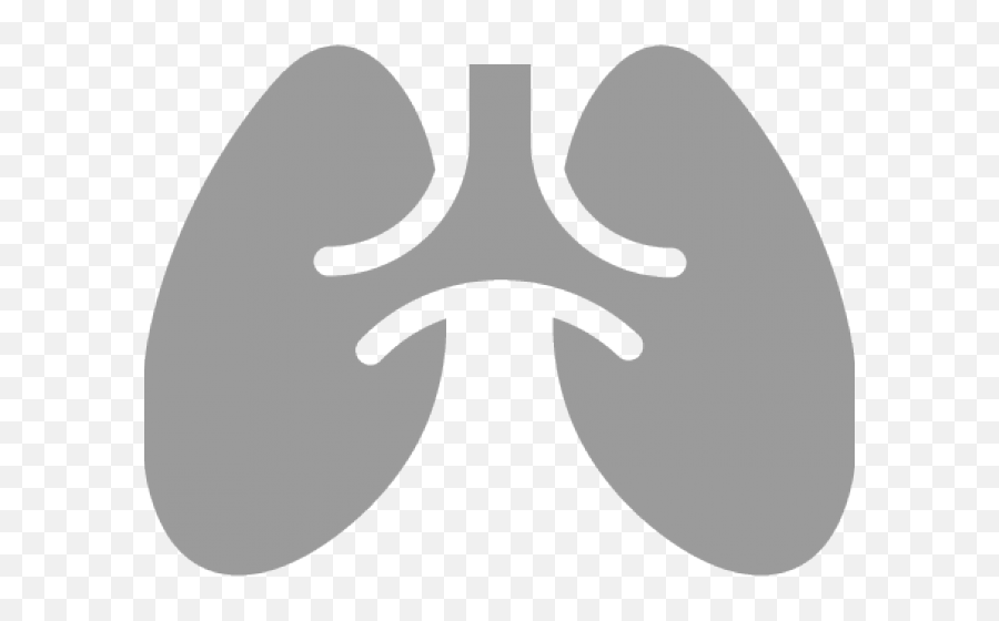 Lung Vector Icon - Lung Logo Png,Lung Png