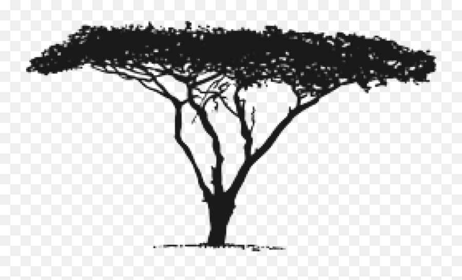 Vector Graphics Africa Image Download Silhouette - High Silhouette Africa Tree Drawing Png,Africa Png