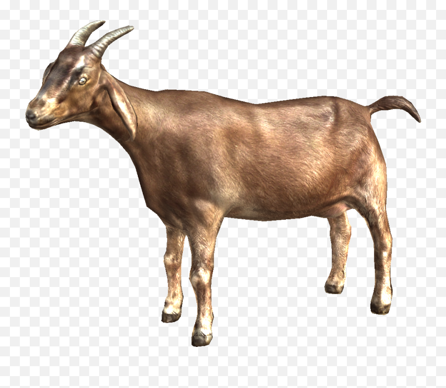 Download Goat Png Picture Hq Image - Transparent Background Goat Png,Goat Horns Png