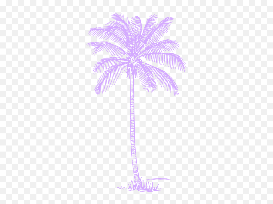 Palm Tree Clip Art - Vector Clip Art Online Palm Tree Clip Art Pink Png,Palm Leaf Transparent