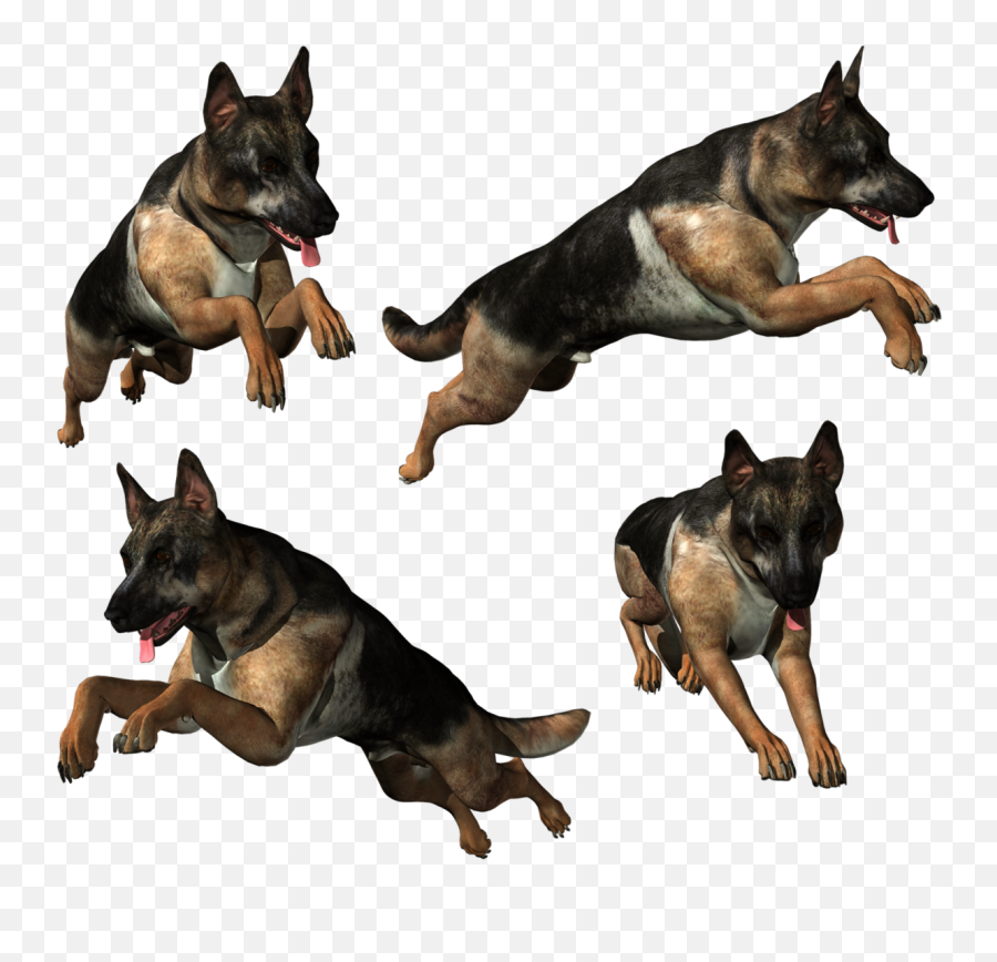 German Shepherd Png German Shepherd Free Transparent Png Images Pngaaa Com - german shepherd roblox game