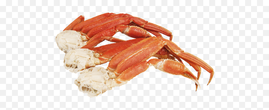 Usda Snow Crab Cluster Reviews 2020 - Snow Crab Transparent Png,Crab Legs Png