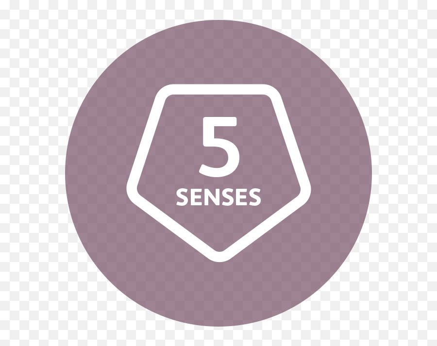 Udream Well - Dot Png,5 Senses Icon