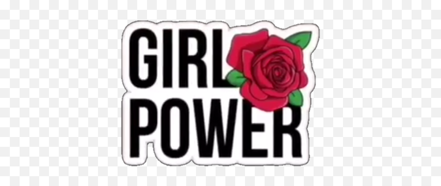 Download Girlpower Girl Power Overlay - Prego Bistró Take Away Png,Girl Power Icon