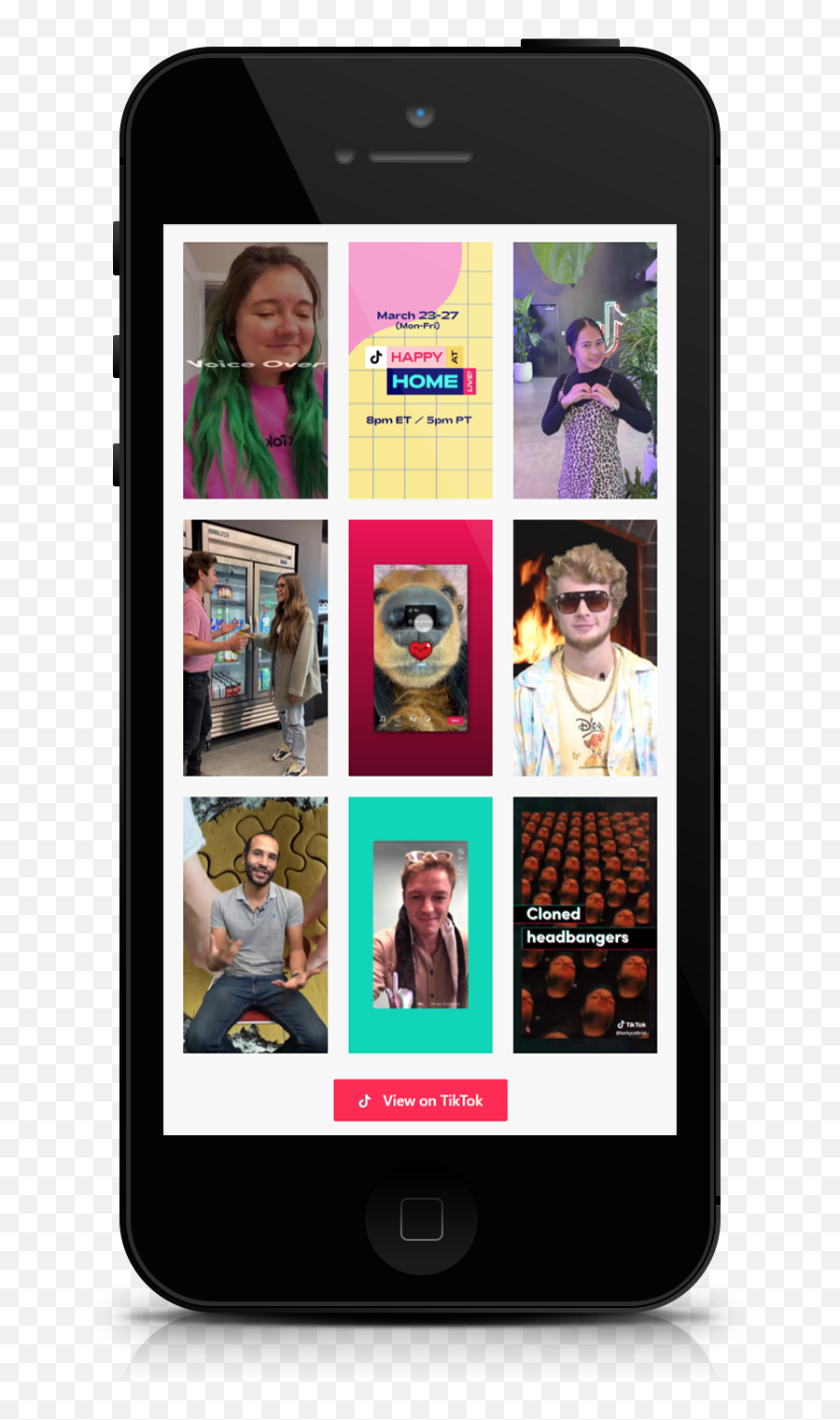 Tiktok Feed Plugin For Wordpress - Quadlayers Sharing Png,What Does The Bling Icon Look Like On Tiktok