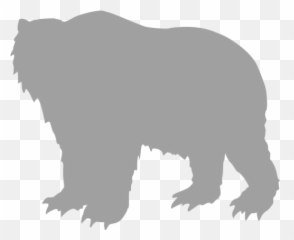 Bear 03 Icons Images Png Transparent - American Black