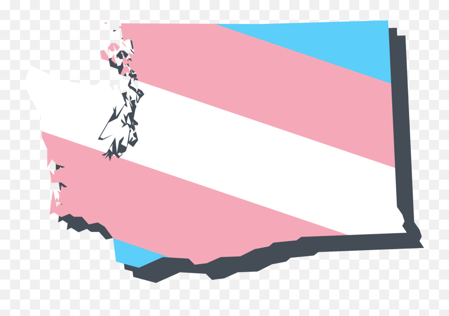 Gender - Affirming Hormone Therapy In Washington U2014 Plume Vertical Png,Transgender Flag Icon