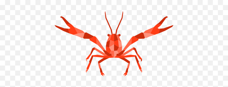 Seafood T - Shirt Designs Niche U0026 Other Merch Graphics Tangle Web Spider Png,Red Lobster Icon