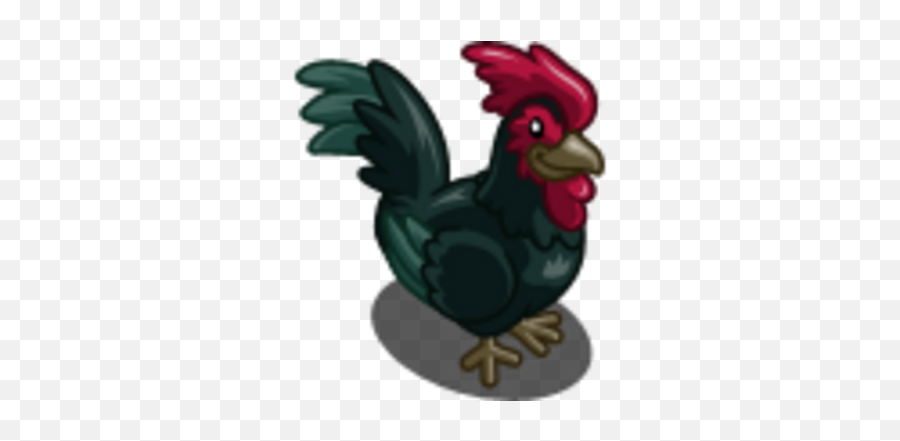 Australorp Rooster Farmville Wiki Fandom - Comb Png,How To Get Rooster Icon