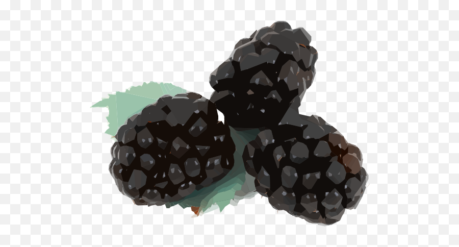 Openclipart - Clipping Culture Foods Rhat Start With B Png,Blackberry Icon Handdrawn