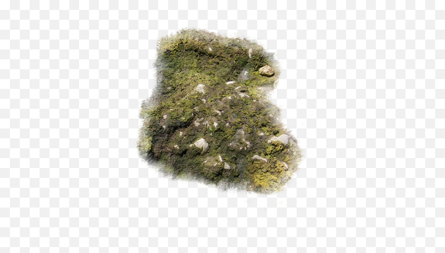 Index Of Mappingterrainmossy - Moss Png,Moss Png