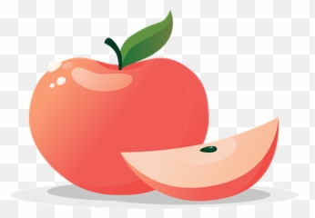 300 Free Harvest U0026 Thanksgiving Vectors - Superfood png