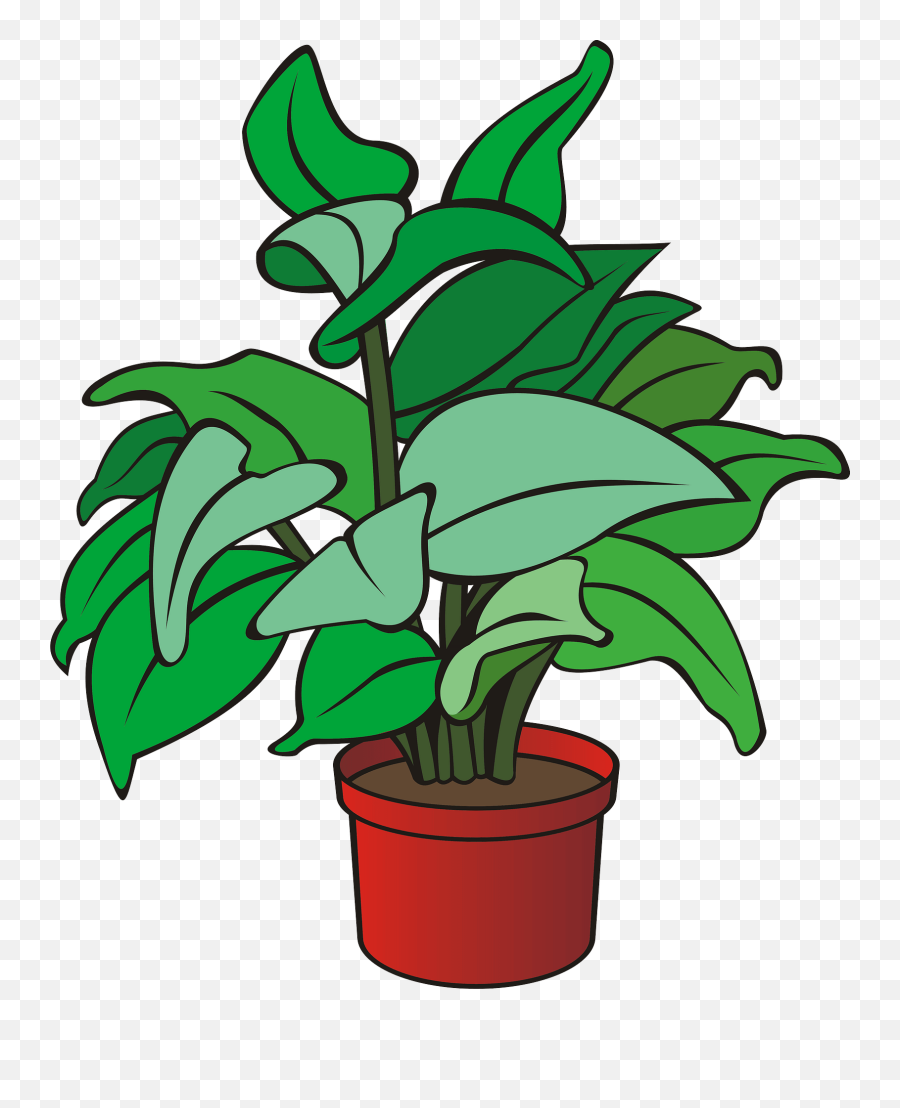 Plantflowerleaf Png Clipart - Royalty Free Svg Png Plant Clipart,Pot Leaf Png
