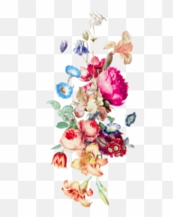 Border Flower Png - Transparent Vine