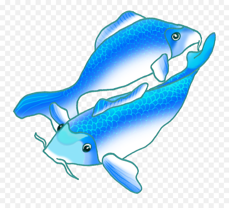 Fish Drawing PNG Transparent Images Free Download