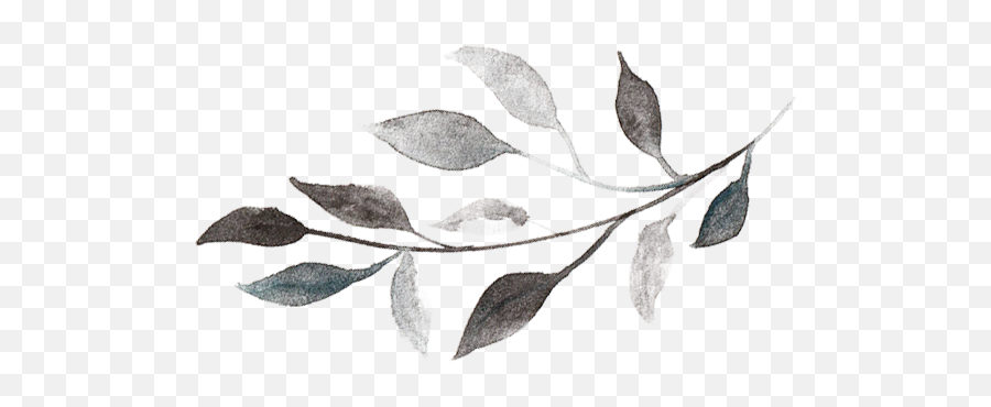 Watercolor Branch Png Picture - Black And White Leaf Png,Watercolor Leaves Png