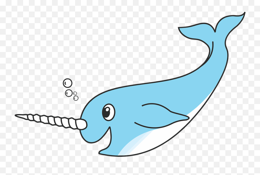 Narwhal Arctic Sea - Transparent Background Narwhal Clipart Png,Narwhal Png