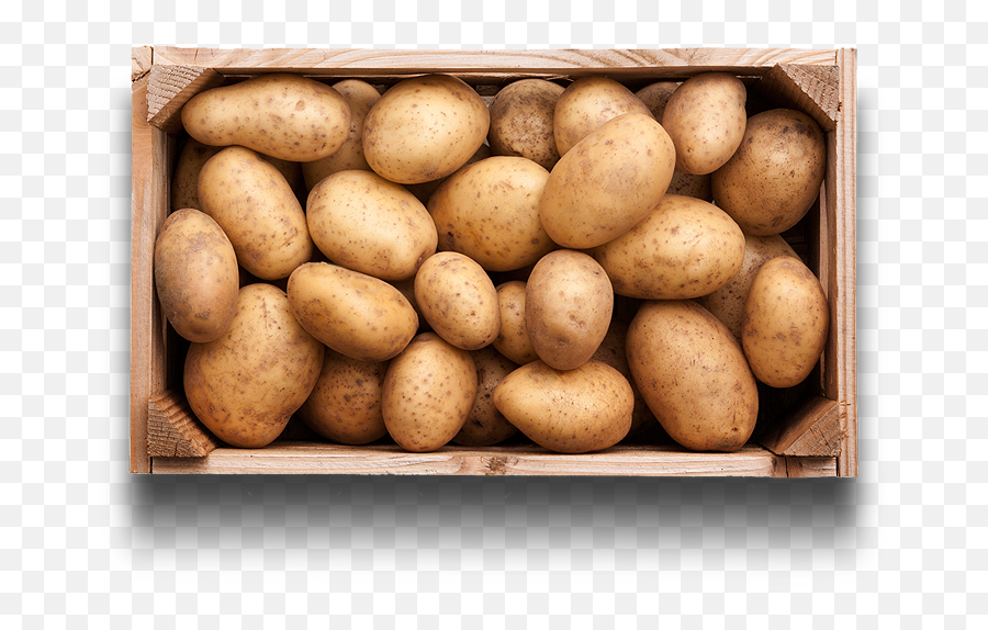 Potato Basics Mccain Potatoes - Russet Burbank Potato Png,Potatoes Png