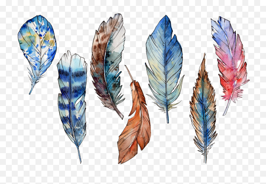 Free Feather Png U0026 Featherpng Transparent Images - Feather Bird Free Download Png,Peacock Feathers Png