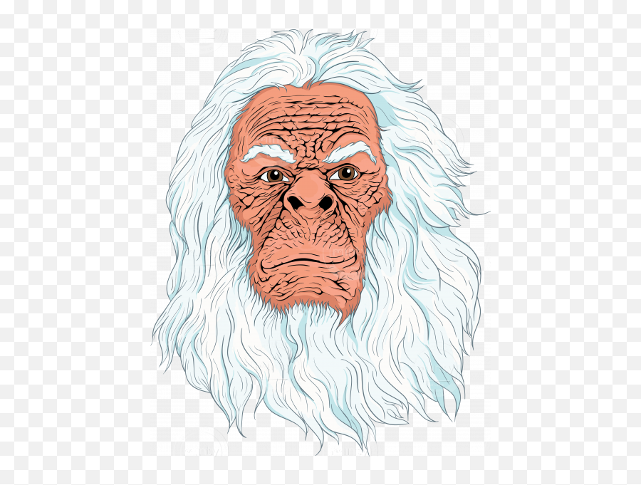 Yeti Face - Illustration Price Minty Yeti Face Png,Face Transparent