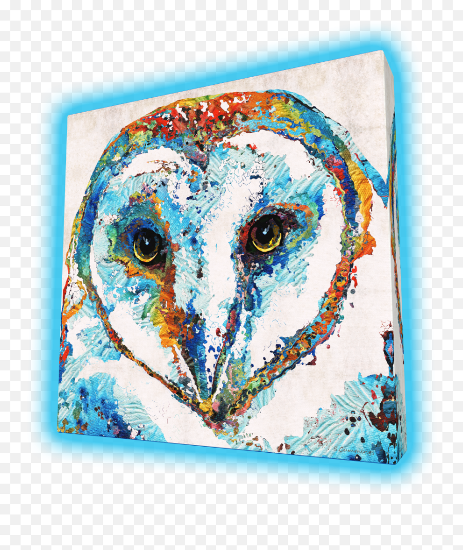 Colorful Barn Owl By Sharon Cummings - 224 Square Acoustic Panel Png,Barn Owl Png