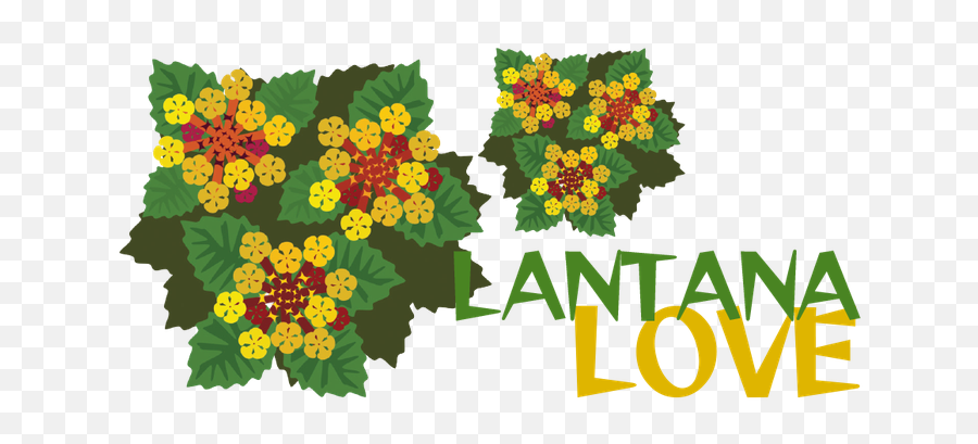 Lantana Love - 209 Magazine Lantana Clipart Png,Hanging Plants Png