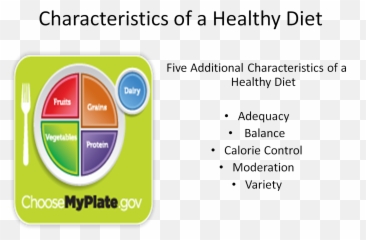Understanding The Impact Of Nutrition Characteristics A - Choose My Plate Png,Diet Png