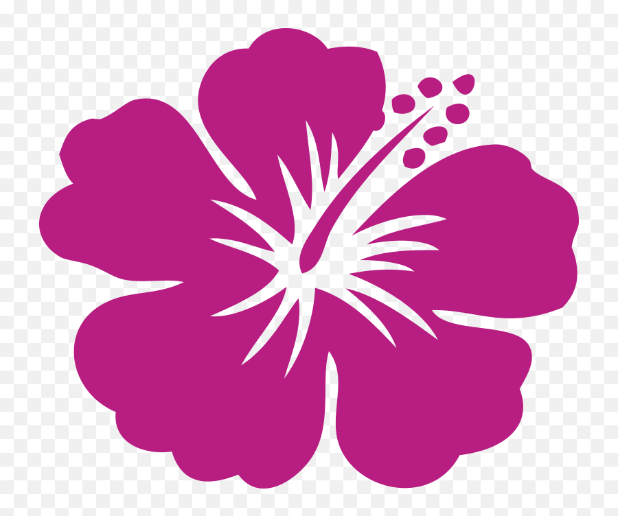 Download Hd Hawaii Hibicus - Car Stickers Seven Dots Hawaii State Flower Hibiscus Png,Hibiscus Flower Png