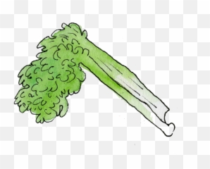 Food Illustration Narramoreart Png Celery