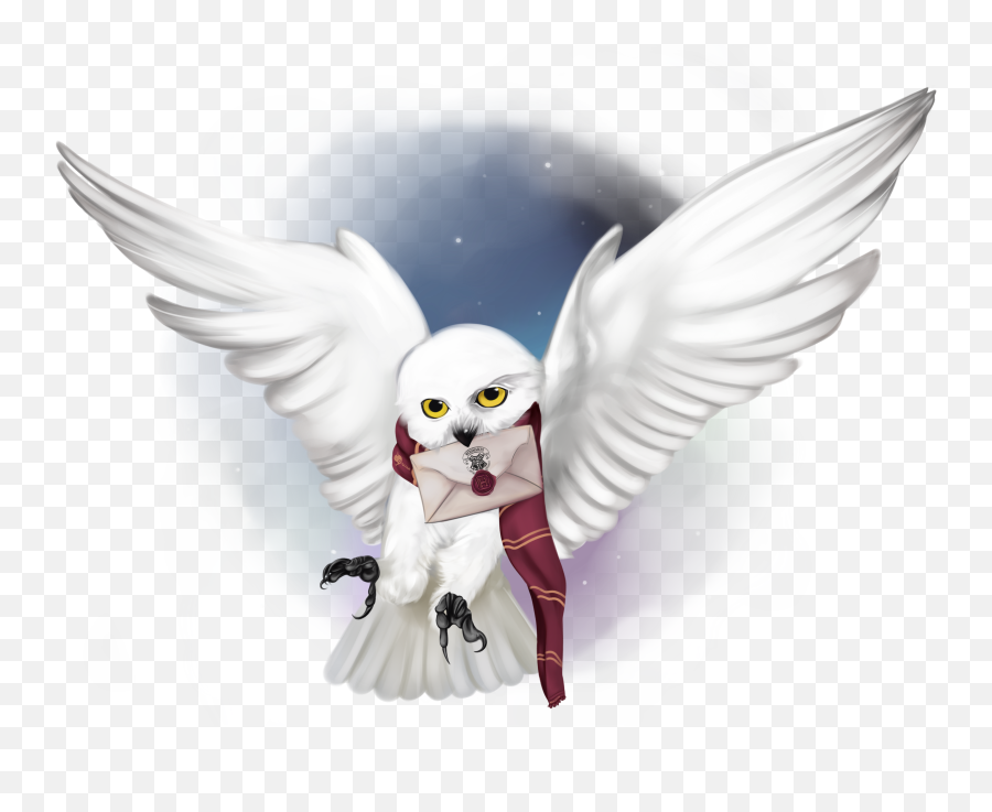 Rec Big - Hedwig Flying With Letter Png,Hedwig Png