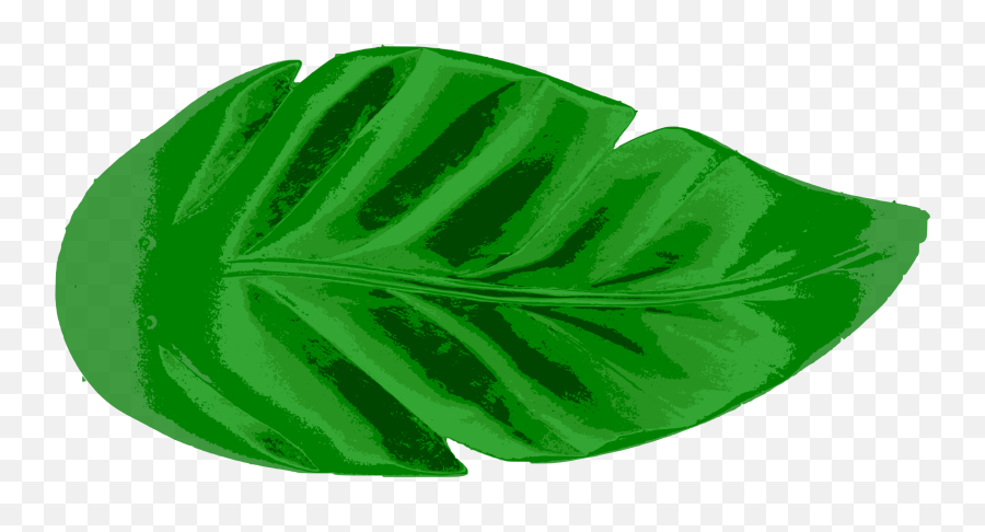 Download Leaf Tropics Earth Palm Branch - Big Leaf Transparent Png,Watercolor Leaf Png