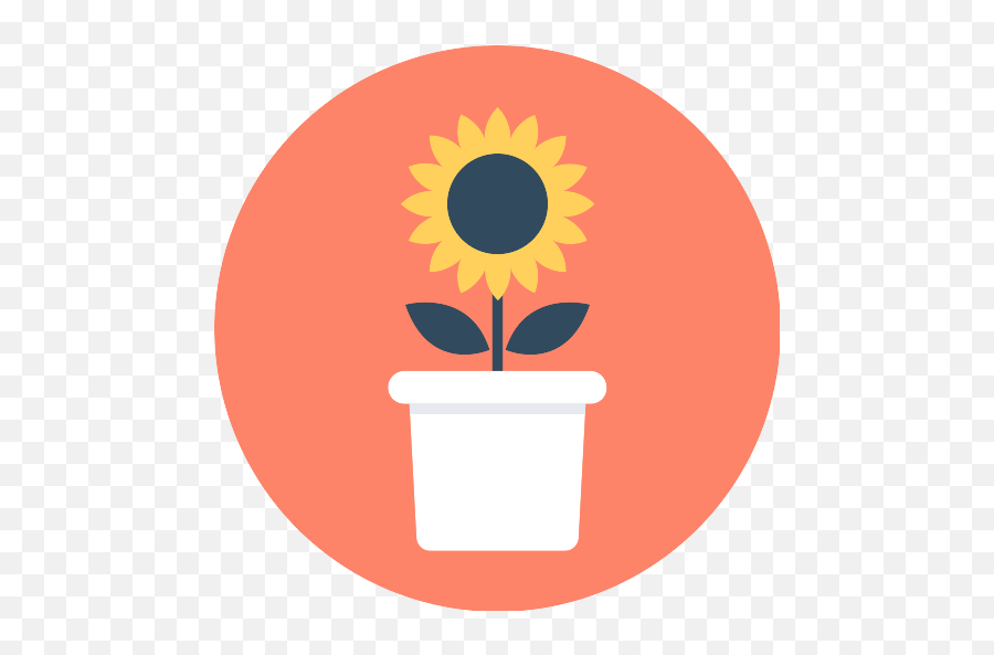 Sunflower Flower Vector Svg Icon - Flower Circle Icon Png,Sunflower Icon