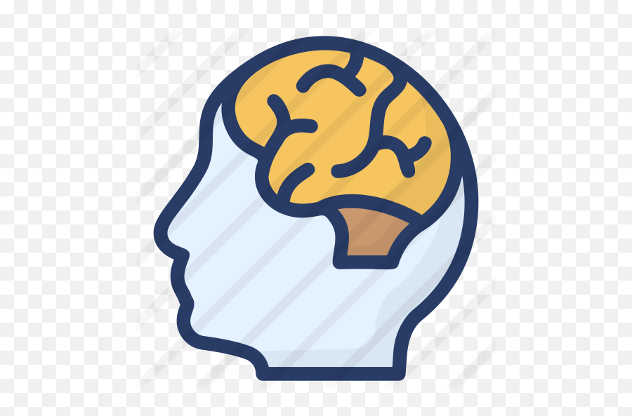 Human Brain - For Adult Png,Medical Brain Icon