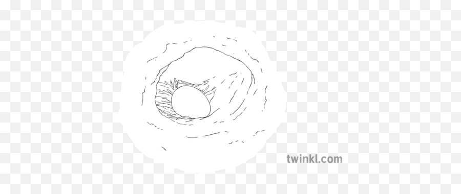 Atlantic Puffin Nest Egg Bird Science Ks2 Bw Rgb - Dot Png,Nest Egg Icon