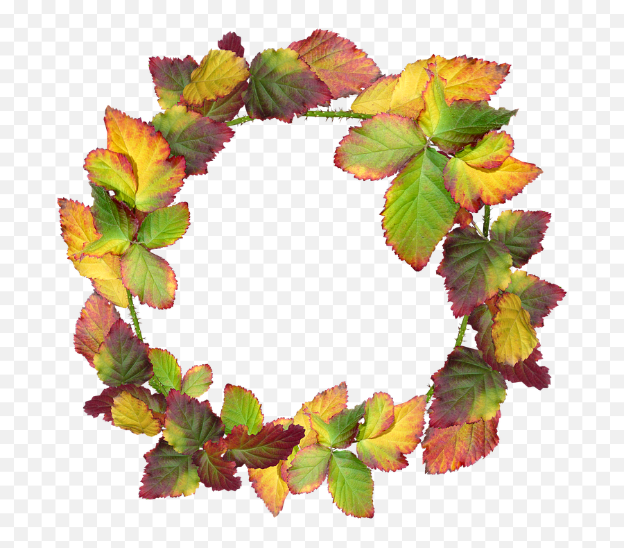Wreath Leaves Autumn - Bingkai Daun Lingkaran Png,Fall Frame Png