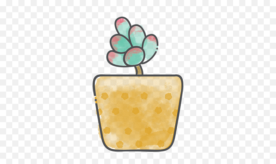 Succulent Identification U0026 Care Tips Studios - Dedos Succulent Png,Succulent Icon Transparent