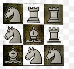 Viktor Got Very Famous In Hogwarts After He Broke All - Animal Figure png